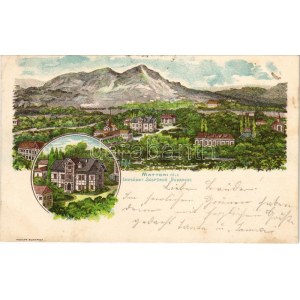 1898 Budapest XI. Kelenföld, Mattoni-féle Erzsébet királyné sósfürdő. Posner Art Nouveau (EK...