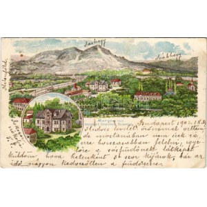 1902 Budapest XI. Kelenföld, Mattoni-féle Erzsébet királyné sósfürdő. Posner Art Nouveau (EK...