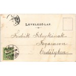 1902 Budapest XI. Kelenföld, Mattoni-féle Erzsébet királyné sósfürdő. Posner Art Nouveau (EK...