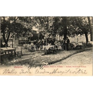 1904 Budapest XII. Zugliget, Disznófej vendéglő, étterem kertje pincérekkel