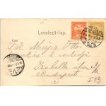 1904 Budapest XII. Zugliget, Disznófej vendéglő, étterem kertje pincérekkel