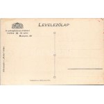 Budapest XIV. Székesfővárosi Állatkert, körutazás Kuba hátán, gyerekek elefánton. A székesfővárosi állatkert kiadása 13...