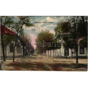 1909 Budapest XVII. Rákoshegy, Szegedy Albert utca, Dr. Jutassy villa...