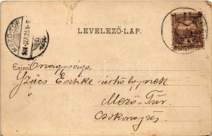 1901 Budapest XVII. Rákoskeresztúr, Fuchs kastély, vasútállomás (fl)