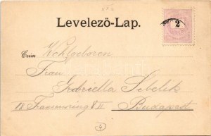 Budapest XXII. Budafok, kilátás a MÁV (Magyar Királyi Államvasutak) megállóhelyről, vasútállomás, Dietzl József üzlete...
