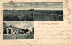 1900 Budapest XXII. Nagytétény, Nagy-Tétény; Diósárok (Diós árok) nyaralótelep, látkép, Fő utca, Tóth József cipész...