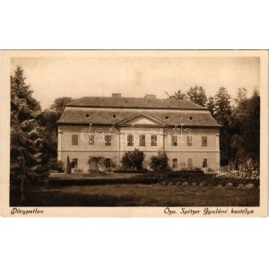 Dőrypatlan, Özv. Spitzer Gyuláné kastélya, Borgula felvétele (EB)