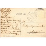 1908 Dunaföldvár, Kálvária hegy a Dunáról, hajómalom. Somló Manó kiadása / floating shop mill (boat mill) (EK...
