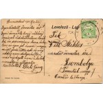 1915 Dunaszekcső, Gőzátkelés a Dunán, gőzhajó, komp. Balogh Pál kiadása (fa)