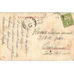 1911 Felsősegesd (Segesd), Weiler Vilmos üzlete, Gróf Széchenyi kastély (fl)