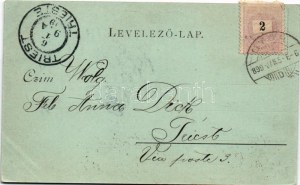 1899 Győr, Városháza, Kismegyeri csata emlékmű, Baross úti sarokház. Beretz Viktor kiadása. Art Nouveau, floral (EK...