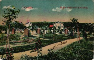 Gödöllő, M. kir. méhészeti gazdaság. Heisler Ferenc kiadása (Rb)