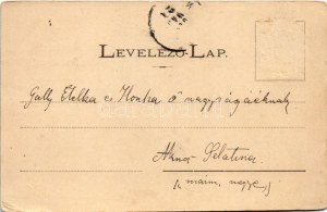 1900 Hortobágy, Látogatók a Hortobágyon, gulya, vasaló. László Albert kiadása, szecessziós-virágos keret. Art Nouveau...