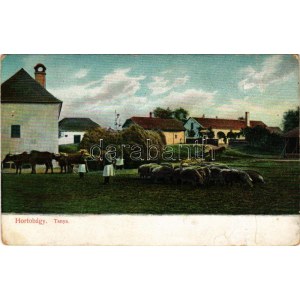 Hortobágy, Tanya, magyar folklór. D.T.C., L. Ser. 271. 2. (gyűrődések / creases)