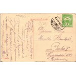 1915 Kaposvár, Korona szálloda és utca, Hegyi József, Kertész Lajos üzlete (gyűrődés / crease...