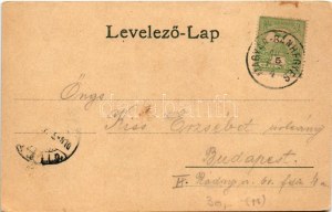 1907 Magyarbánhegyes, Magyar-Bánhegyes; Római katolikus templom, iskola, községháza, Fogyasztási szövetkezet üzlete...
