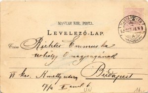 1898 Magyaróvár, Mosonmagyaróvár; Moson vármegye székháza (vármegyeháza), M. kir. gazdasági akadémia, bemenet, Fő utca...