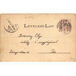 1898 Nyíregyháza, Színház, Korona szálloda, Vármegyeháza, Evangélikus templom. Art Nouveau, floral (szakadás / tear...