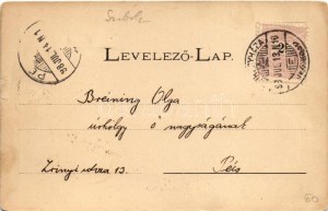 1898 Nyíregyháza, Színház, Korona szálloda, Vármegyeháza, Evangélikus templom. Art Nouveau, floral (szakadás / tear...