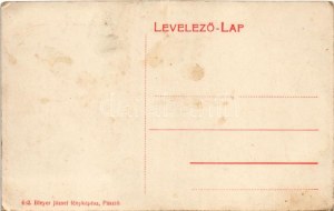 Pásztó, Fő utca, Klein Gyula, W. Ferenc üzlete. Bleyer József fényképész kiadása 682. (EK)