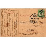 1909 Ráckeve, Szilágyi lak, kastély, gólya a kertben. Pilliser könyvnyomdája kiadása 299. (W.L. ?) (EK...