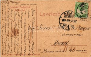 1909 Ráckeve, Szilágyi lak, kastély, gólya a kertben. Pilliser könyvnyomdája kiadása 299. (W.L. ?) (EK...