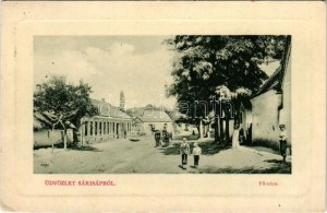 1913 Sárisáp, Fő utca. W.L. Bp. 3761. (EK)