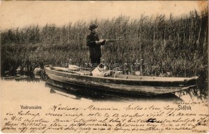 1904 Siófok, Vadrucales (vadréce, vadkacsa), vadász puskával és kutyával csónakban, nádas (apró szakadás / tiny tear...