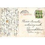 1909 Székesfehérvár, Vármegyei Szent György kórház. W.L. 675. (EK)