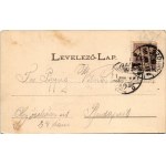 1901 Szolnok, Fodor D. Nemzeti Szálloda, kávéház és étterem, belső biliárdasztallal. Szigeti H. fényképész (szakadás ...