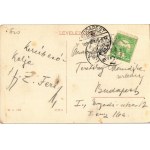1908 Szolnok, Szapáry utca, Gabó László üzlete, zsinagóga. W.L. 1476. (fl)