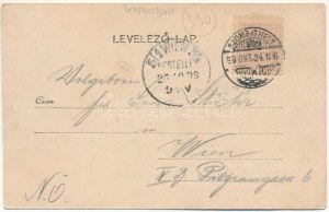 1899 Szombathely, Heti vásár, piac, Weiner József, Stirling Bódog, Deutch József és Társa üzlete. Apfel H. C. kiadása ...