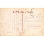 1919 Tinnye, Vásárhelyi Zoltán kastélya. Eisler Lajos kiadása (Rb)
