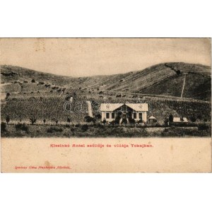 Tokaj, Kicsinkó Antal szőlője és villája. Ignáczy Géza fényképész felvétele (fl)