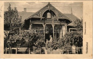 1909 Törökbálint, Tihanyi nyaraló, villa. Ifjabb Báró Barkóczy Sándornak (1896-1925) címezve...