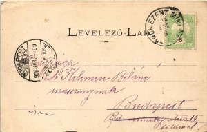1906 Törökszentmiklós, Pánthy intézet, Piac tér, Külley Béla üzlete, piac. Szigeti Henrik udv. fényképész kiadása (EB...
