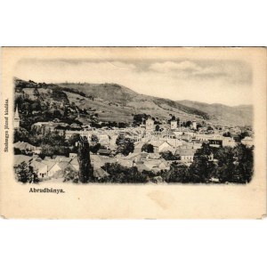 Abrudbánya, Abrud; látkép. Skalangya József kiadása / general view (fa)