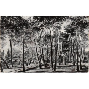 1918 Bályok, Balc (Bihar megye); Dégenfeld-Schomburg (Károlyi) kastély. Levél Wilczek Emma grófnőnek / castle...