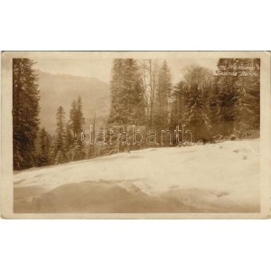 Bardu, Ski-Übungs Gelände / Osztrák-magyar és német katonai síkiképzőterep a Kárpátokban / WWI German and K.u.K...