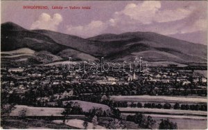 1918 Borgóprund, Borgó-Prund, Prundu Bargaului; látkép. Sajovics Izidor kiadása / general view + 
