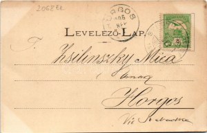 1906 Borszék, Borsec; Széchenyi-kő. Bogdánffy István kiadása / rock (fl)