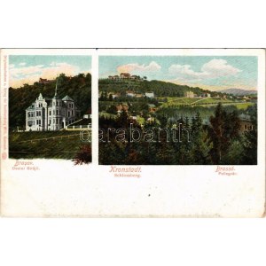 Brassó, Kronstadt, Brasov; Dealul Strajii / Fellegvár, villa. Wilh. Hiemesch kiadása és felvétele / Schlossberg ...