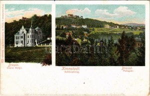 Brassó, Kronstadt, Brasov; Dealul Strajii / Fellegvár, villa. Wilh. Hiemesch kiadása és felvétele / Schlossberg ...