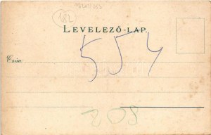 Brassó, Kronstadt, Brasov; Dealul Strajii / Fellegvár, villa. Wilh. Hiemesch kiadása és felvétele / Schlossberg ...