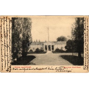 1903 Buziás, Meleg acélfürdő / Warmes Stahlbad / spa