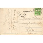 1914 Buziásfürdő, Baile Buzias; Eusch villa. Heksch Manó kiadása / villa (kopott sarkak / worn corners...