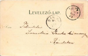 1899 Detta, Ghedu, Deta; Fő utca / main street (EB)