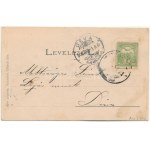1908 Dobra, Hunyaddobra (Hunedoara); utcakép, Petrovits József üzlete, gyógyszertár. Adler fényirda kiadása / street...