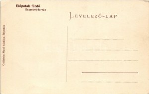 Előpatak, Valcele; Erzsébet forrás a fürdő parkban. Goldstein Manó kiadása / Izvorul Elisabeta ...