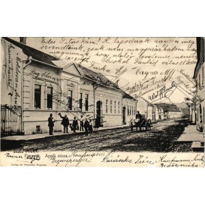 1908 Fogaras, Fagaras; Apafi utca. D. Thierfeld kiadása / street (gyűrődés / crease)